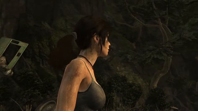 Radeon 680M LPDDR5 6400 - Tomb Raider - 1600x1000