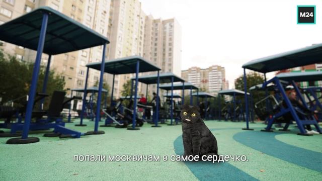 Эволюция московских дворов | Кот Бублик