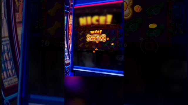 ДА ЕСТЬ ЖЕ ! НО ХОТЕЛОСЬ БЫ БОЛЬШЕ! Dog House #slot #shorts #шортс #занос #casino #jackpot