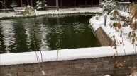 Работа полыньи на своем пруду.Что б рыба жила.