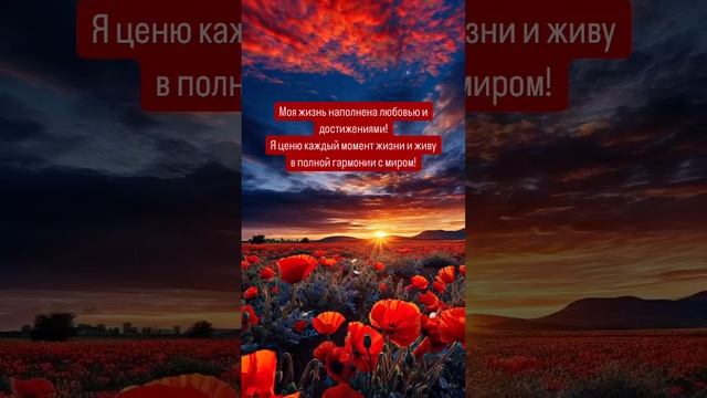 Я ценю каждый момент жизни и живу в полной гармонии с миром