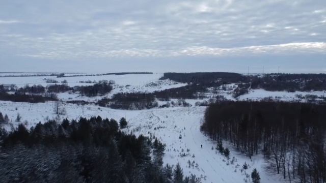 Тульская область. Чернский район.  Деревня Липицы-Зыбино. 5.0.  "Ёлочки". Январь.