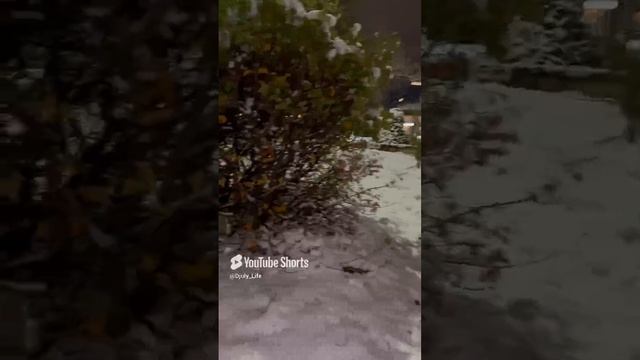С первым снегом дорогие друзья ❄️❄️❄️👍👍👍