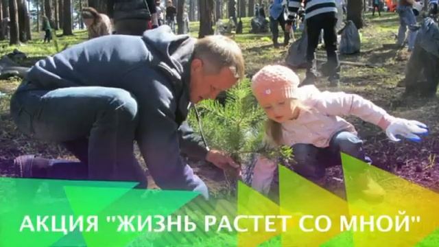 Иркутск Экологичный