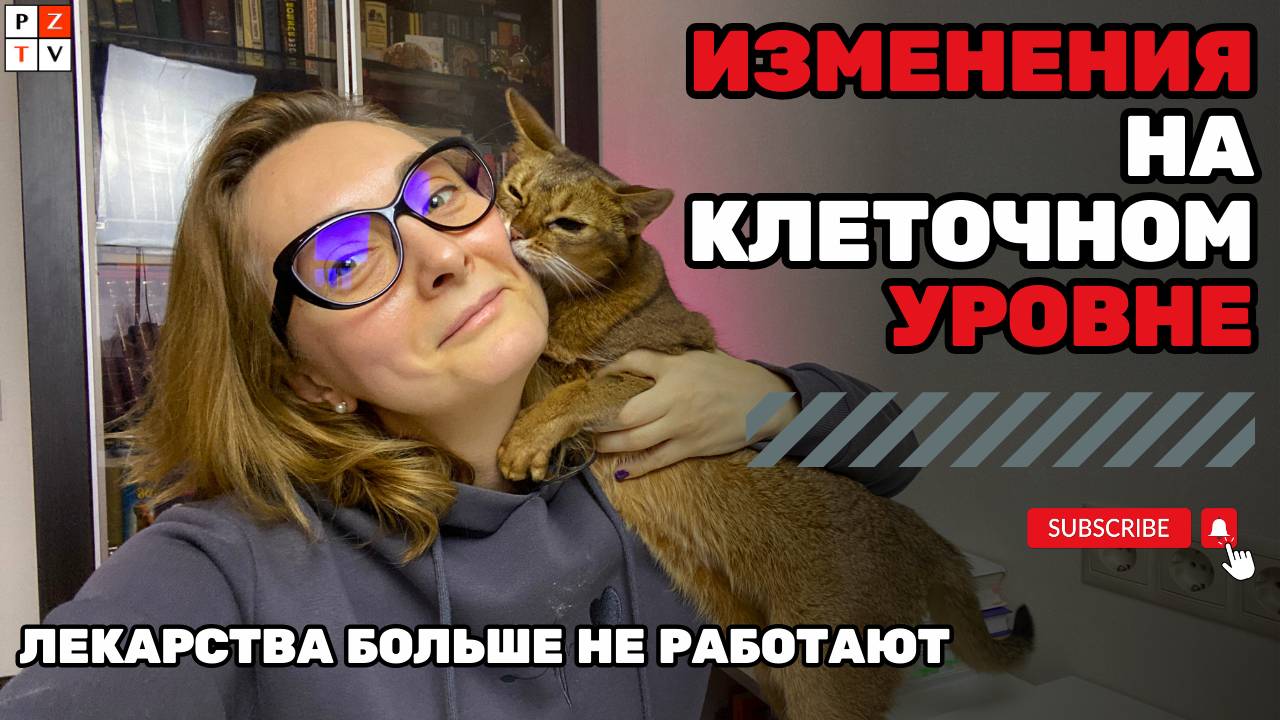 ЧТО СЕЙЧАС ПРОИСХОДИТ С ОРГАНИЗМОМ ЧЕЛОВЕКА?