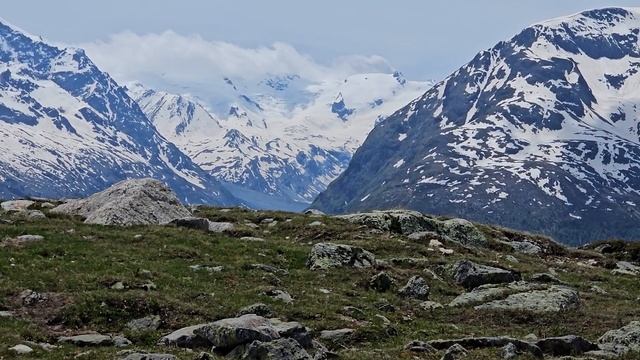 Bernina, Muotas Muragl, Silvaplana 2024