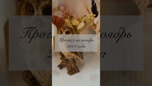 Прогноз на ноябрь 2024 года🍀🩷✨