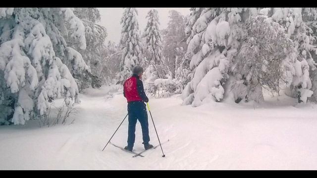 Любителям лыжных прогулок стихи П  Куншин, поет Владимир