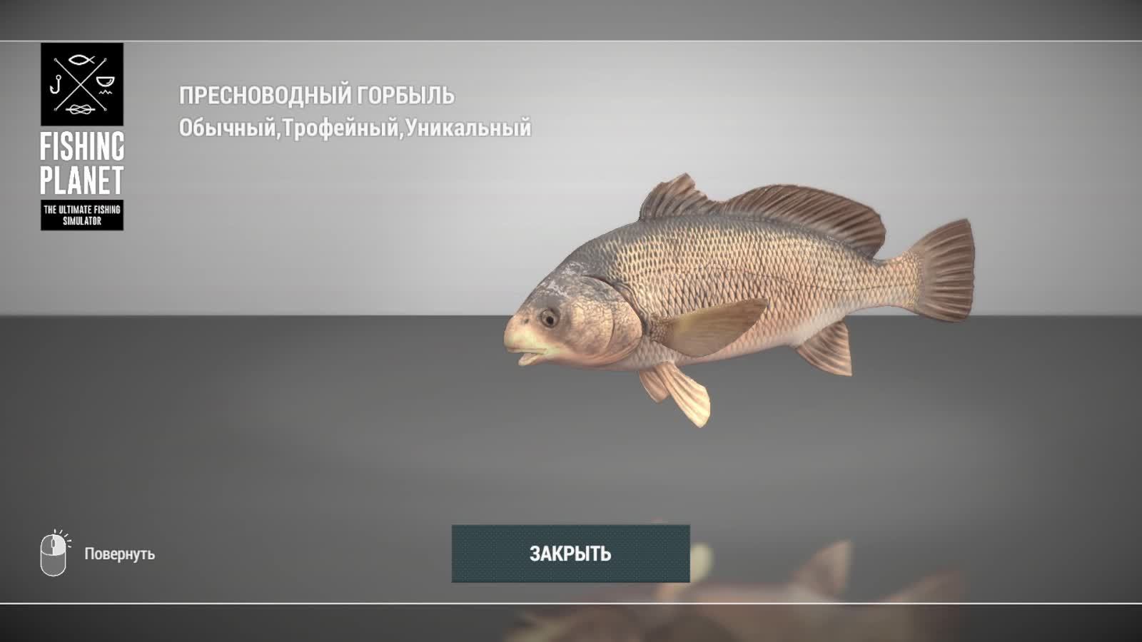 Fishing Planet. Озеро Сент-Круа. Пробуем закрывать водоём! Белый басс, Уник Пресноводный горбыль.
