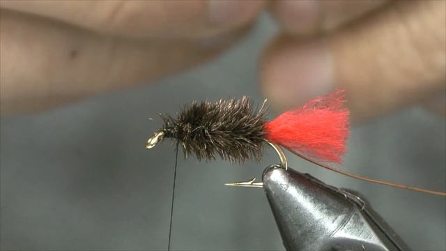 Tying the Black Zulu fly