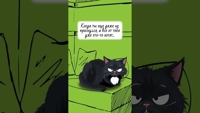 Будьте людьми, дайте хотя бы кофе выпить…