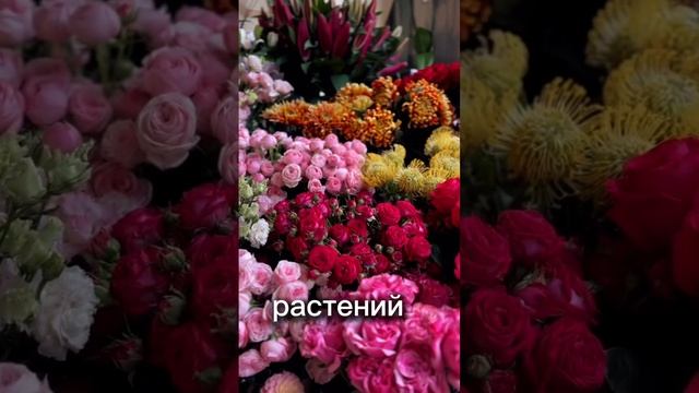 💜Эфирные масла 💜 что это 😯