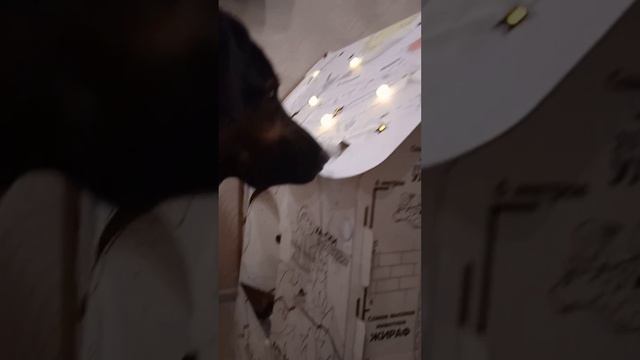 Видео без названия — сделано в Clipchamp (7)
