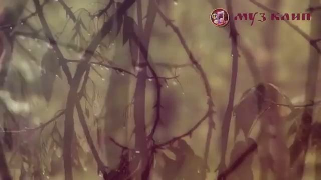Грустный Дождь ❤️ Вячеслав Сидоренко ❤️Обалденная Песня 🌈