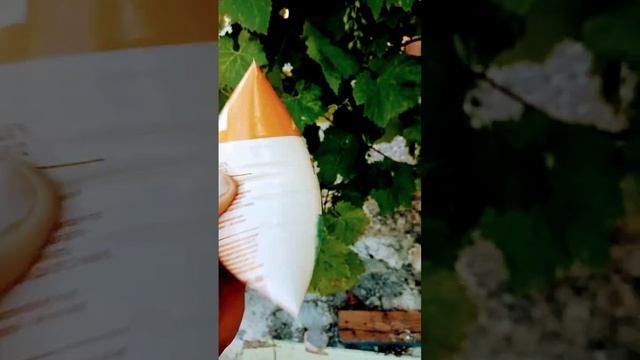 РЯЖЕНКУ РАЗНЕСЛО