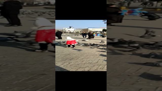 дети2