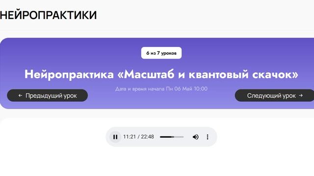 Нейропрактика Масштаб и квантовый скачок