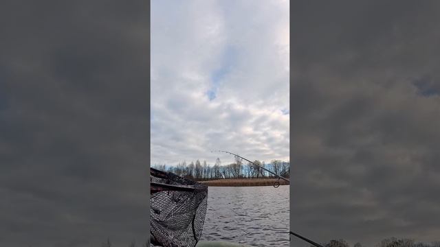 ОБЛОВИЛ ЛЁХУ 😉 ЗУБАСТАЯ ПОРАДОВАЛА 🎣