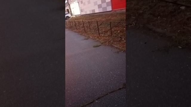 Прокол