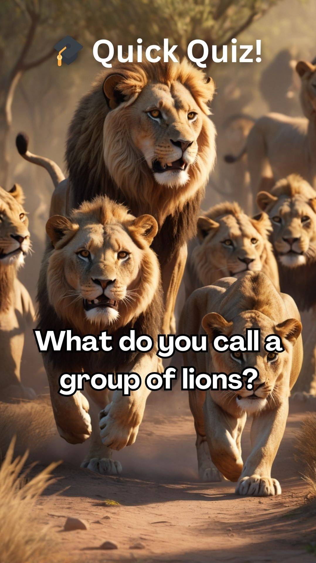 Quick Quiz 02! #quiz #animalquiz