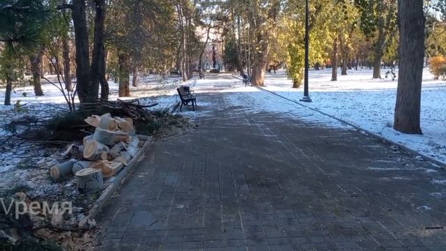 В донецком Парке кованых фигур ликвидируют последствия непогоды