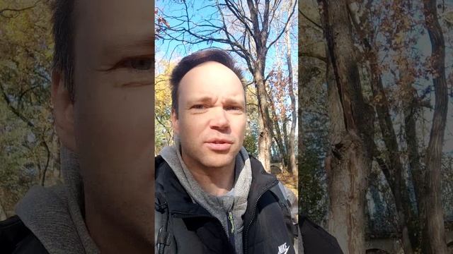 Про Вовочку и школу #юмор #пародия #шутка #прикол