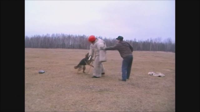 Удушающий приём против собаки (дополнено).