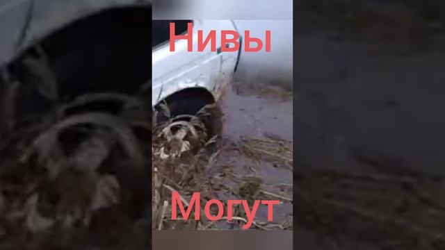 Нивы могут оффроуд. Бездорожье. Болото. Торф
