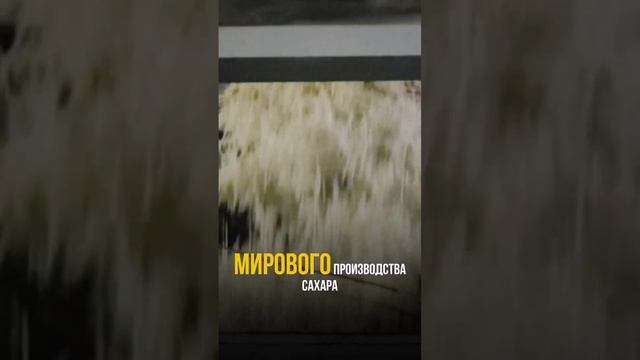 Самая дорогая в мире яхта