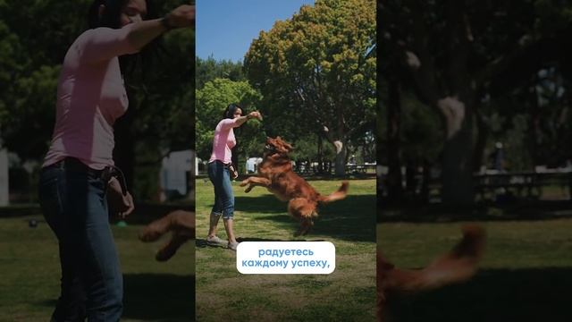 Как наши эмоции влияют на собаку и ее поведение? Полное видео уже на канале!