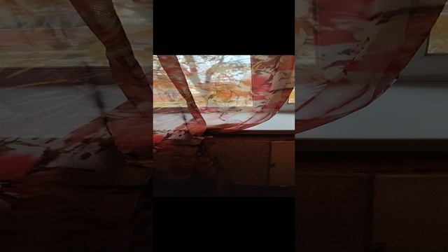 Продается двухкомнатная квартира в центре г.Бирюч.  Все вопросы по телефону 89100309077