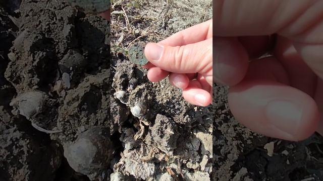Коп на дне водохранилища