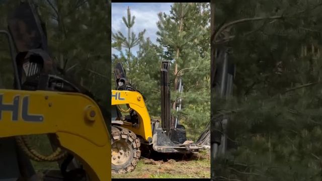 услуги пересадчика деревьев 🌲