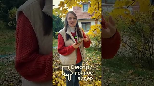 Удобрения для декоративных ЛУЧШЕ НЕТ