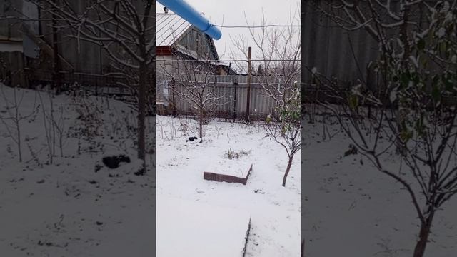 Как быстро пролетело лето