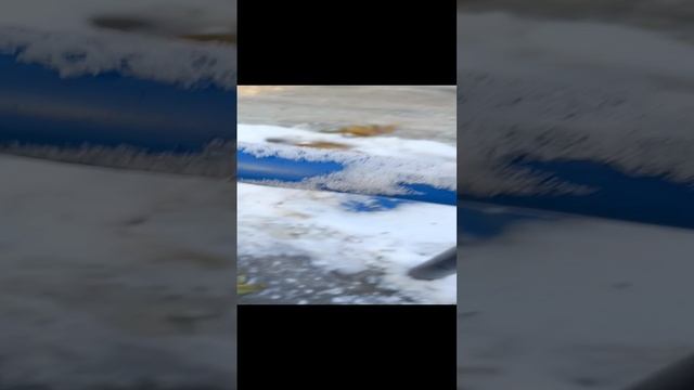 рыская зима