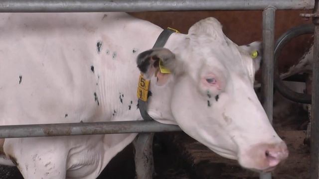 Экскурсия на ЗАО «СИБИРЬ-1»