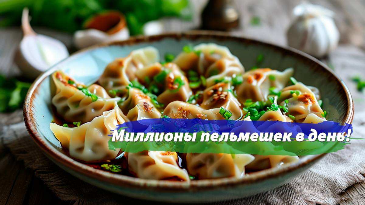 Миллионы пельменей гедза с фабрики!