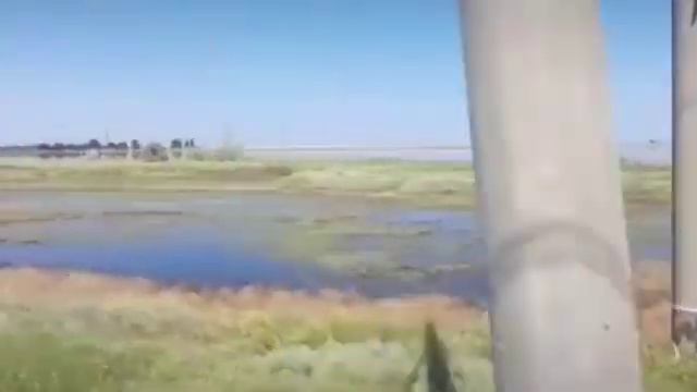 Электропоезд  ЭР1-224.Перегон Сальково-Сиваш. Сиваш...3 года назад