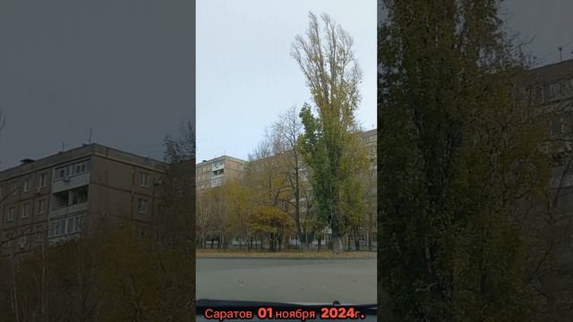 По улицам Саратова Кировский район 01 ноября 2024г.