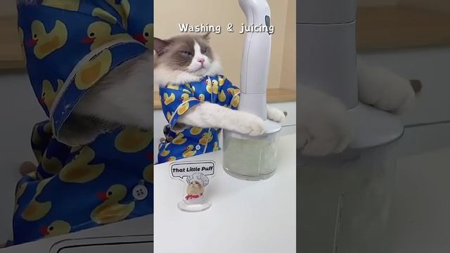 Котики тоже выбирают Алоэ вера 😁

https://shop.lrworld.ru/login/?register=yes&referal_id=318158