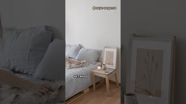 🌟 фокус недели 🌟