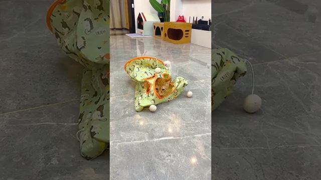 Настоящее счастье - видеть, как малыш играет и радуется, поднимает настроение моментально.