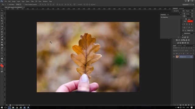 Как обрезать фотографию в Photoshop Кадрируем изображение, задаём размер, сохраняем пропорции