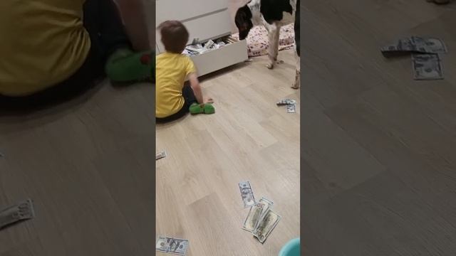 video_2024-11-04_21-42-25
