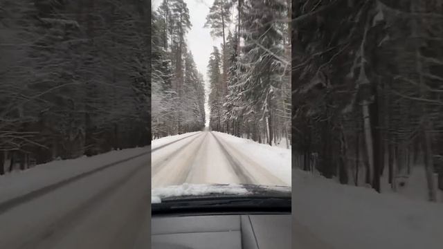 A quiet winter road in the forest #shorts