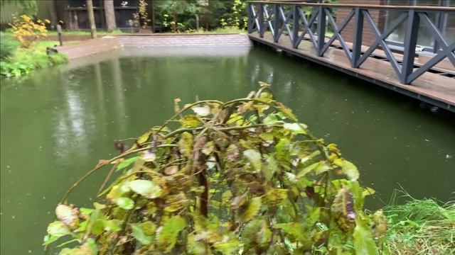 Подготовка пруда к зиме.Переключение воздуха с лета на зиму.