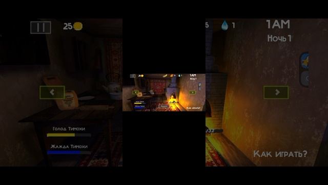 1000173665.mp4