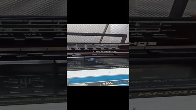1000125402.mp4
