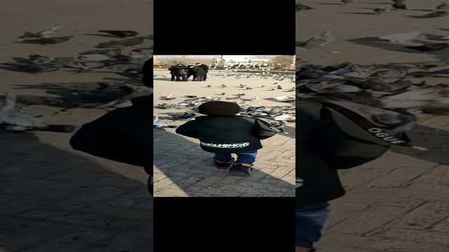 дети